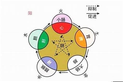 潔 五行|潔字的五行屬性，潔字在五行中屬什麼？